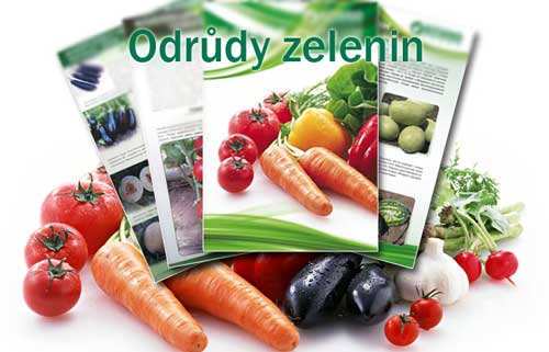 Odrůdy zelenin