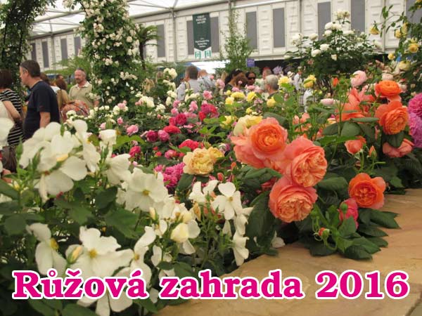 Růžová zahrada 2016 od 16.06. – do 19.06. v Lysé nad Labem