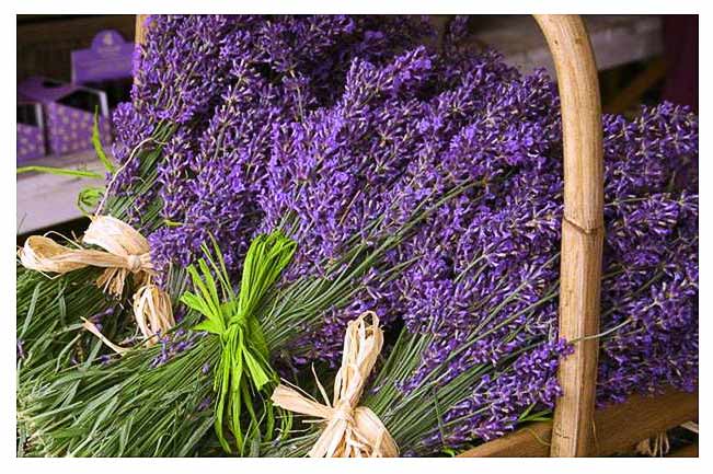 Uklidňující bylinná koupel