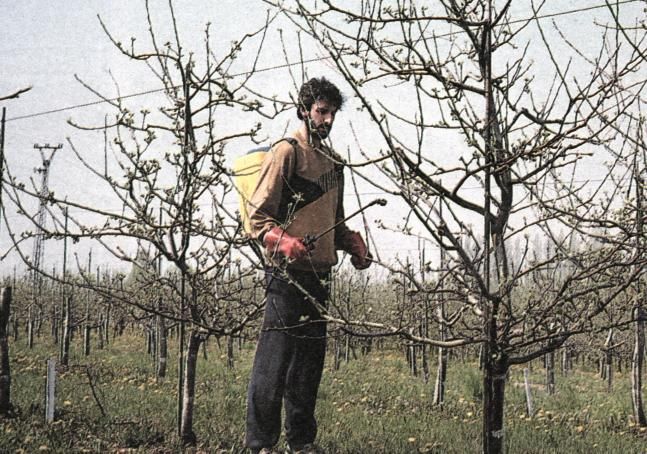 Ochranné lhůty u postřiků