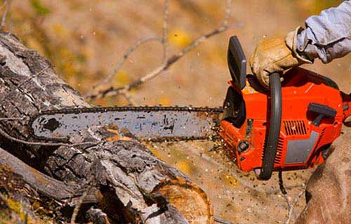 Vybíráme řetězovou pilu