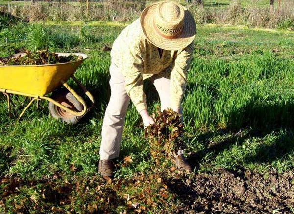 Zlepšování půdy a hnojení