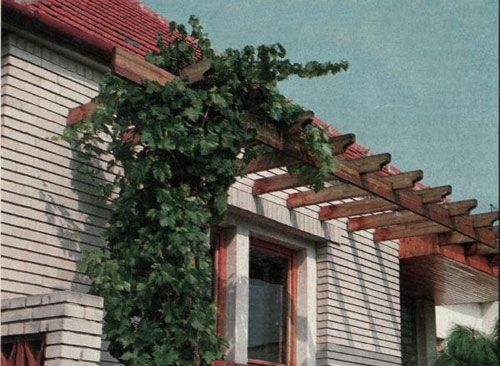 Opěrné konstrukce pro vinnou révu