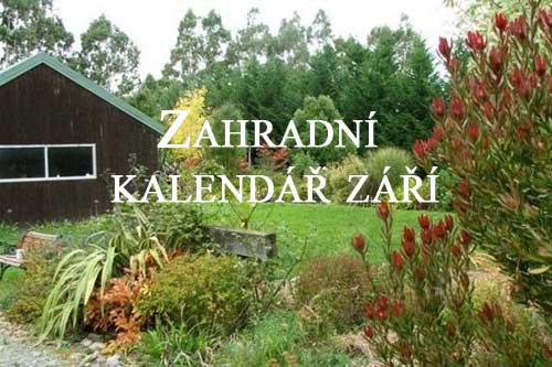 Září na zahradě.