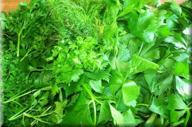 Zeleninové natě v zimě